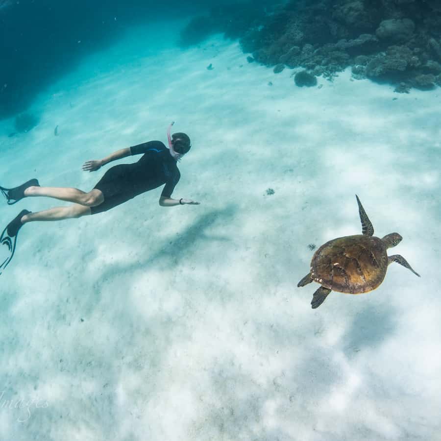 Galería de fotos para redes