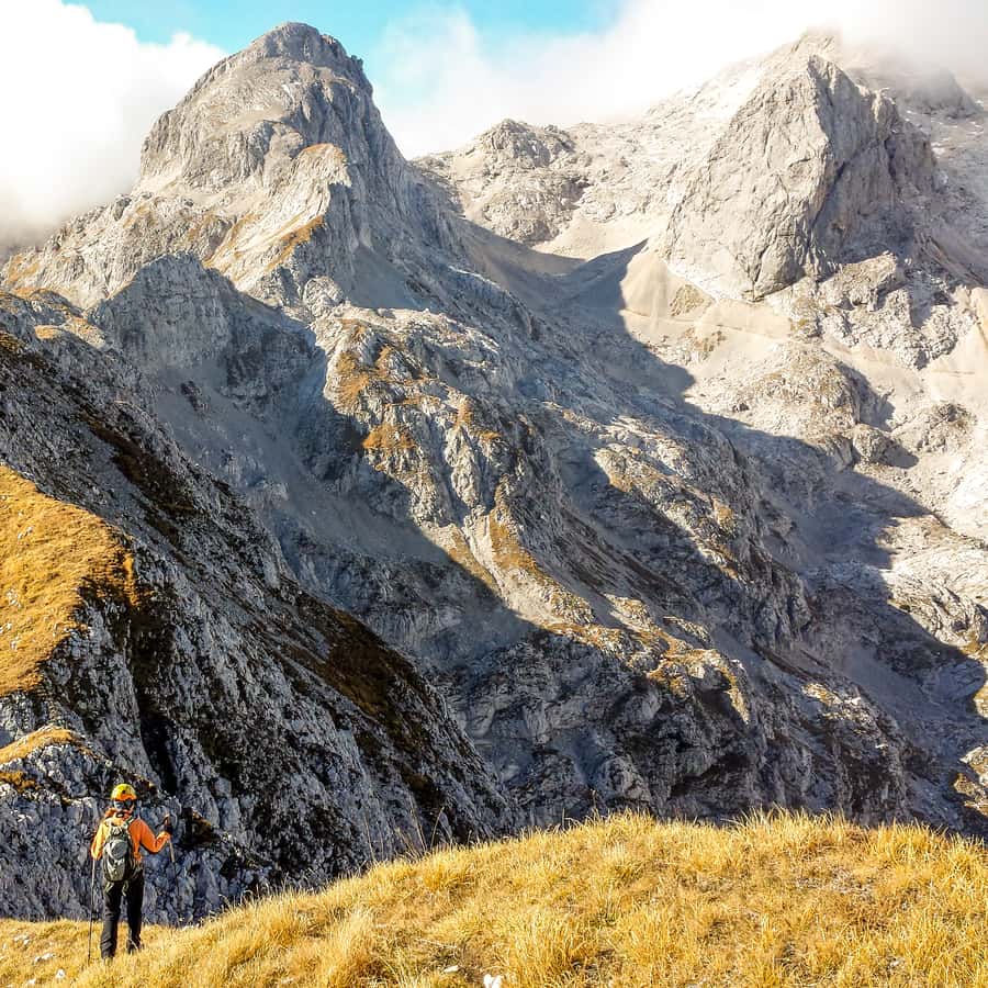 Galería de fotos para redes