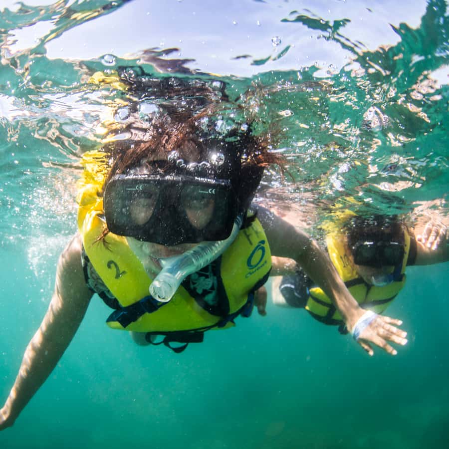 Cabo San Lucas: Snorkel, Lunch and Sail Experience