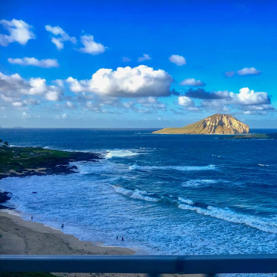 Galería de fotos para redes
