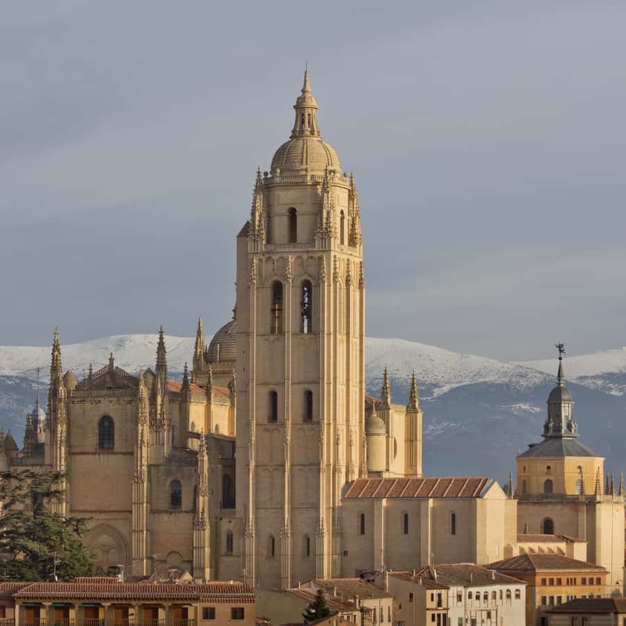 Galería de fotos para redes