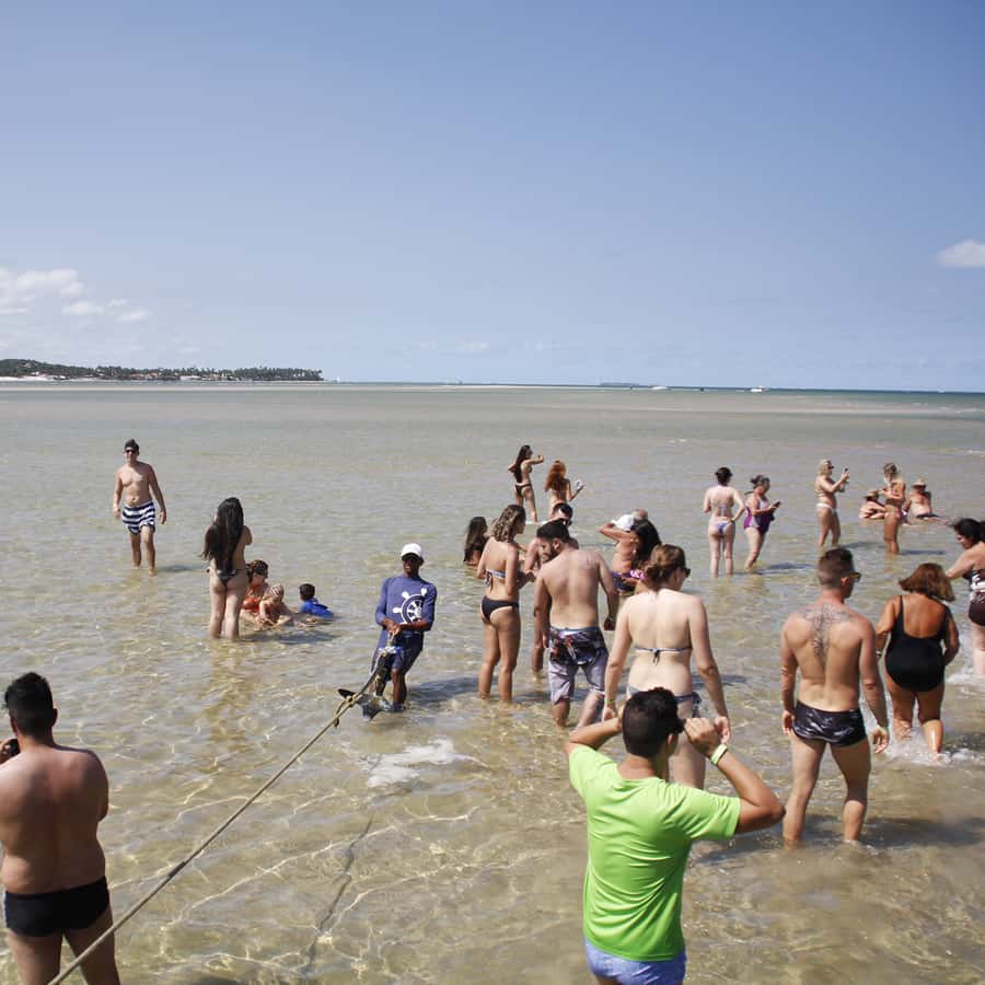 Colagem de mídia