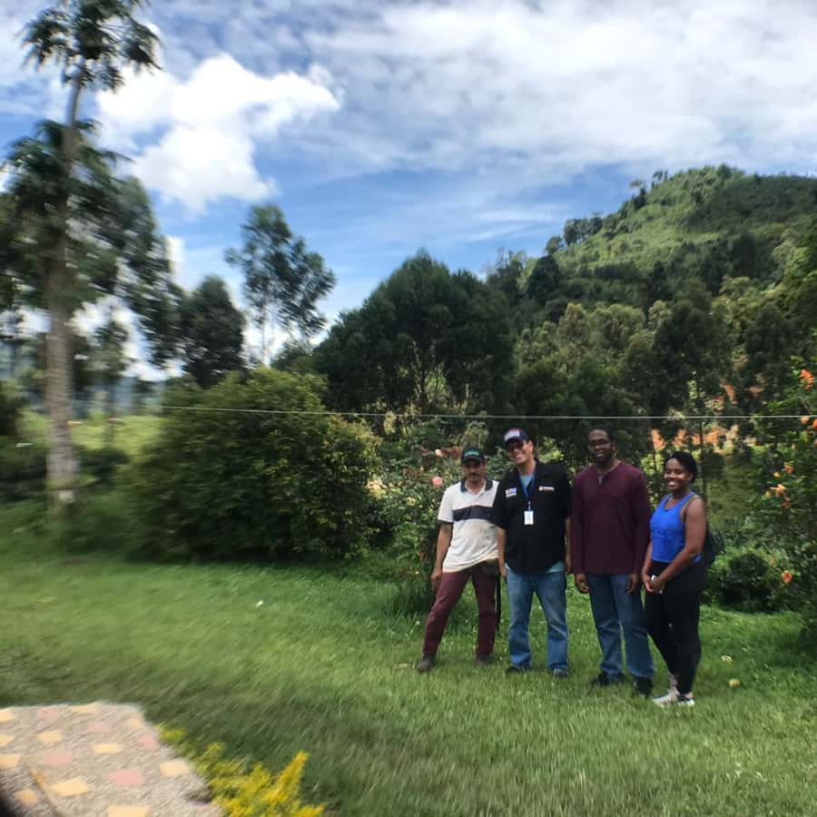 Colagem de mídia