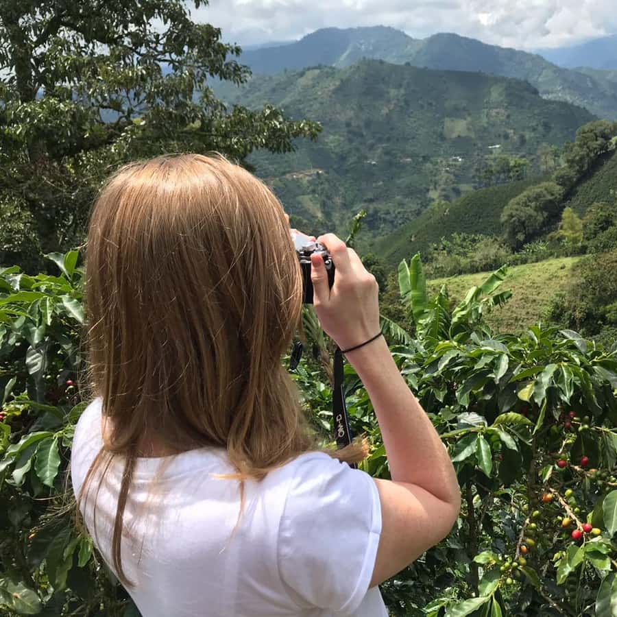 Colagem de mídia