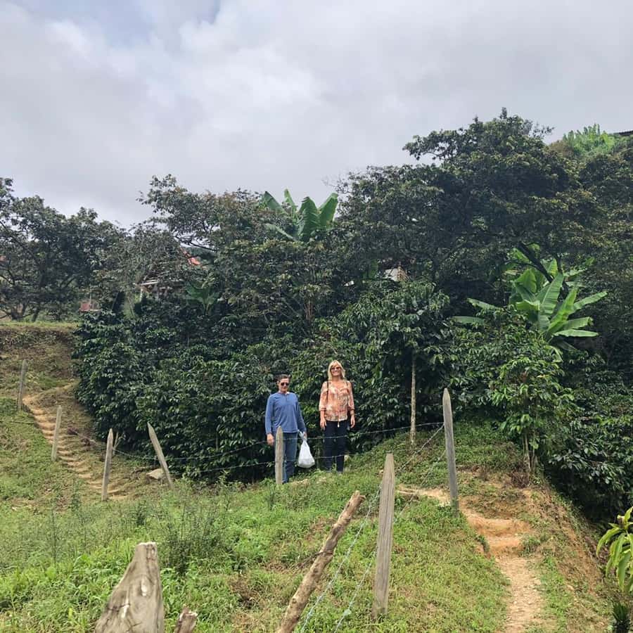 Colagem de mídia