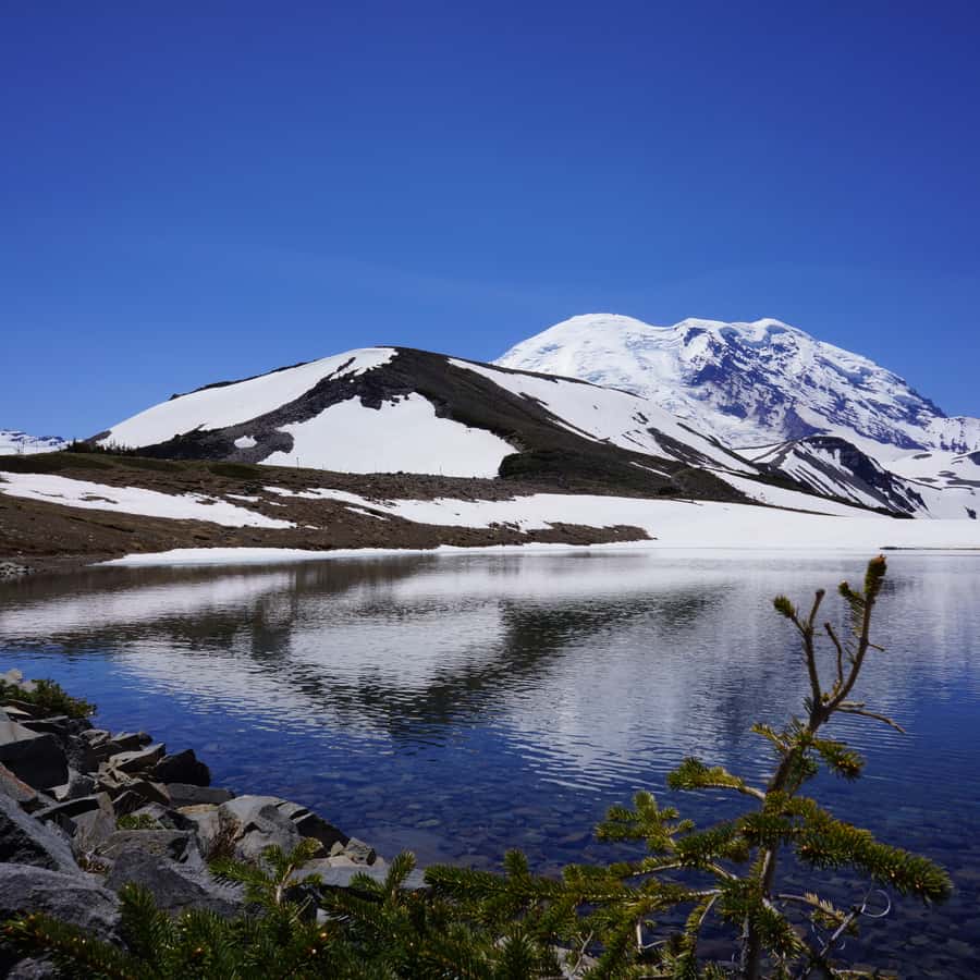 Mount Rainier: Day Hike on the Mountain