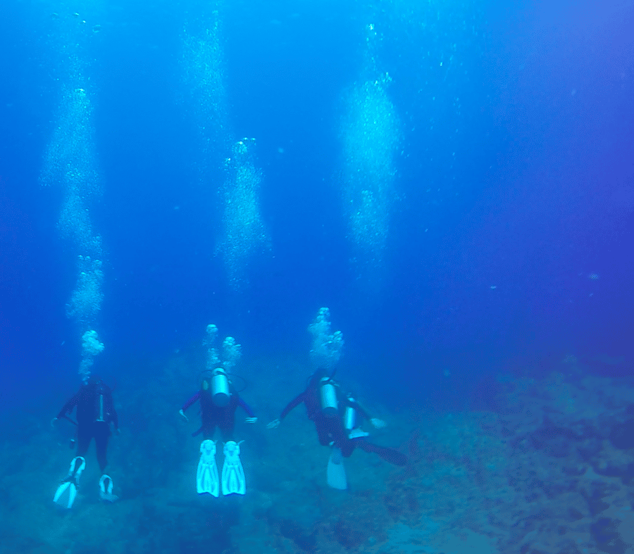 Cabo San Lucas: Beginners Diving Experience w/ Water & Snack