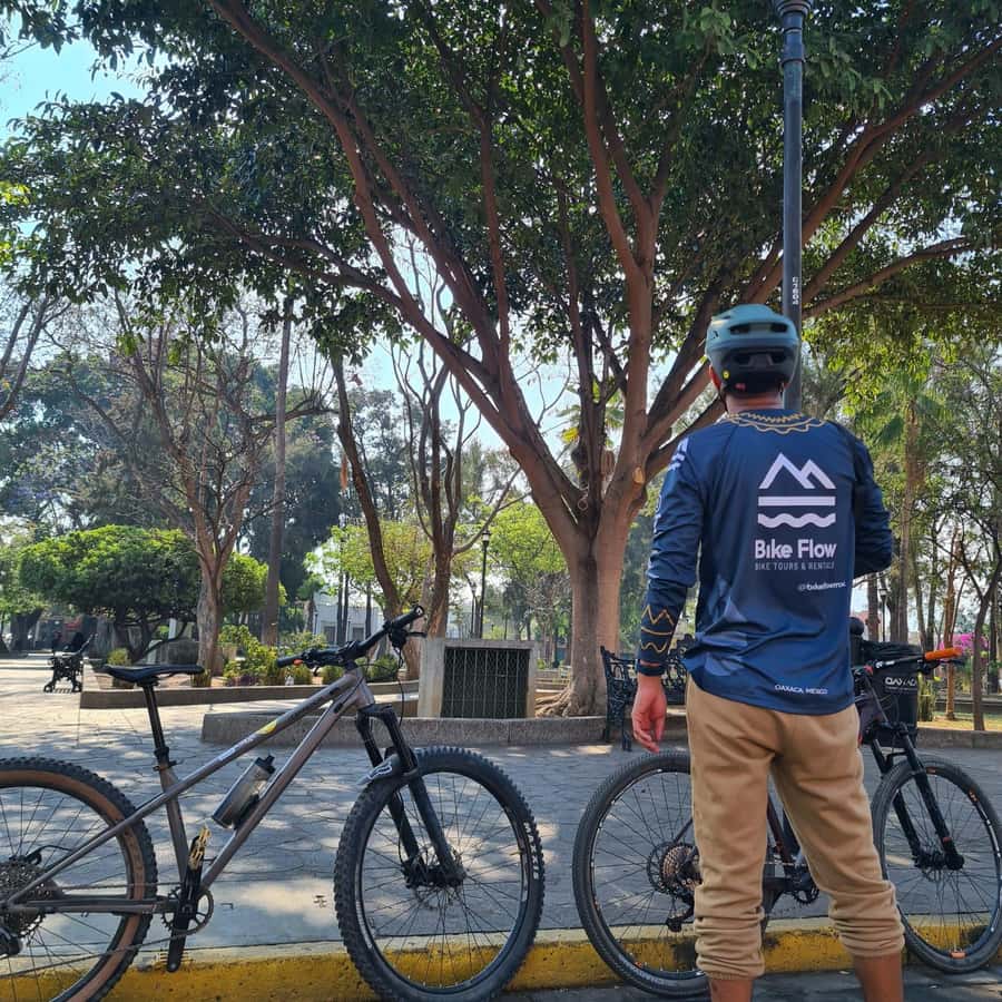 Galería de fotos para redes