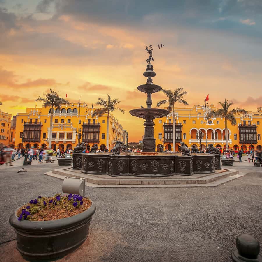 Galería de fotos para redes