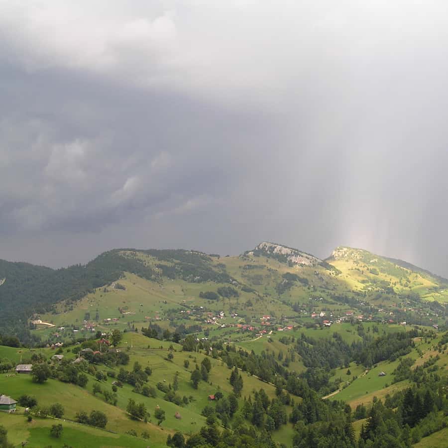 Colagem de mídia