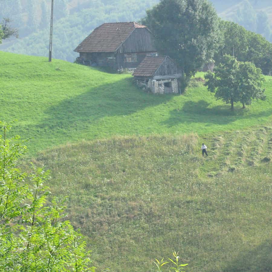 Colagem de mídia
