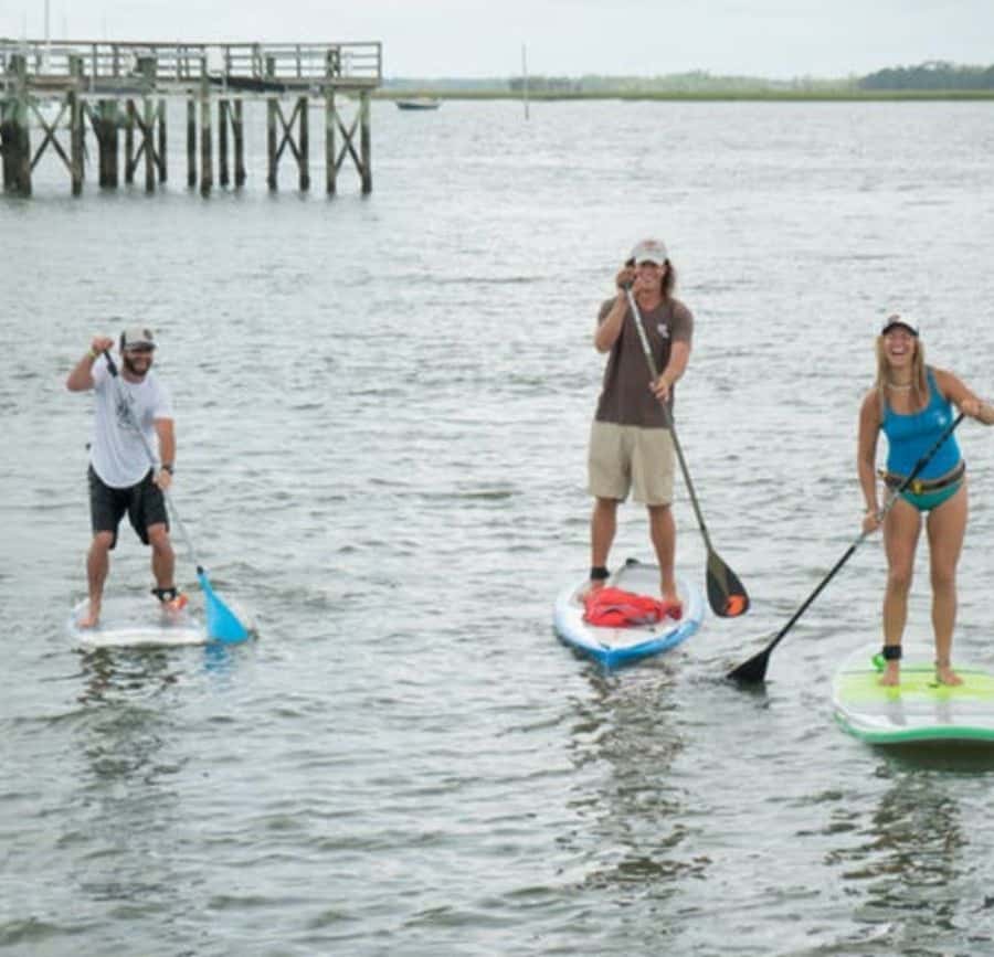 Charleston: Folly Beach Stand Up Paddleboard Dolphin Safari