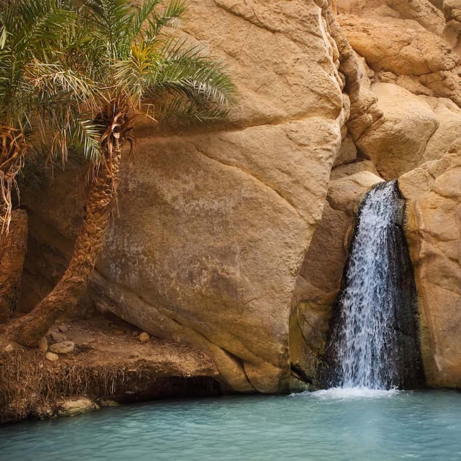 Sochli sochsiz mushuklar porno