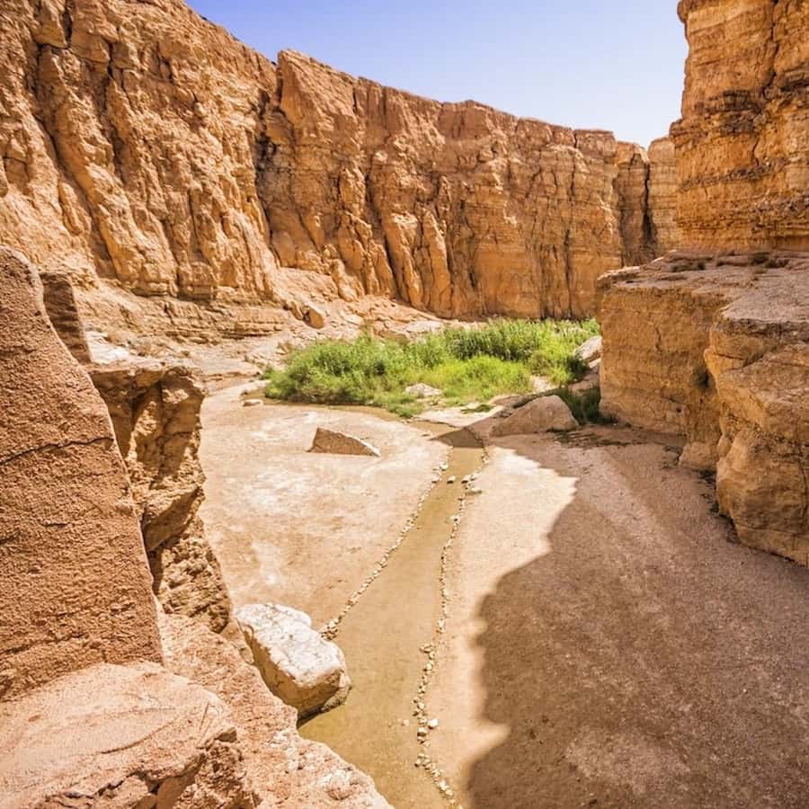 Erkak porno aktyorlar va ularning fotosuratlari