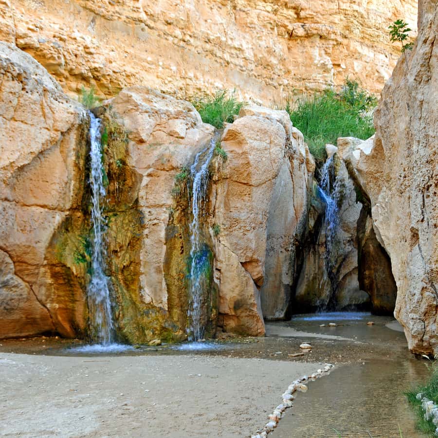 Penza transseksuallari