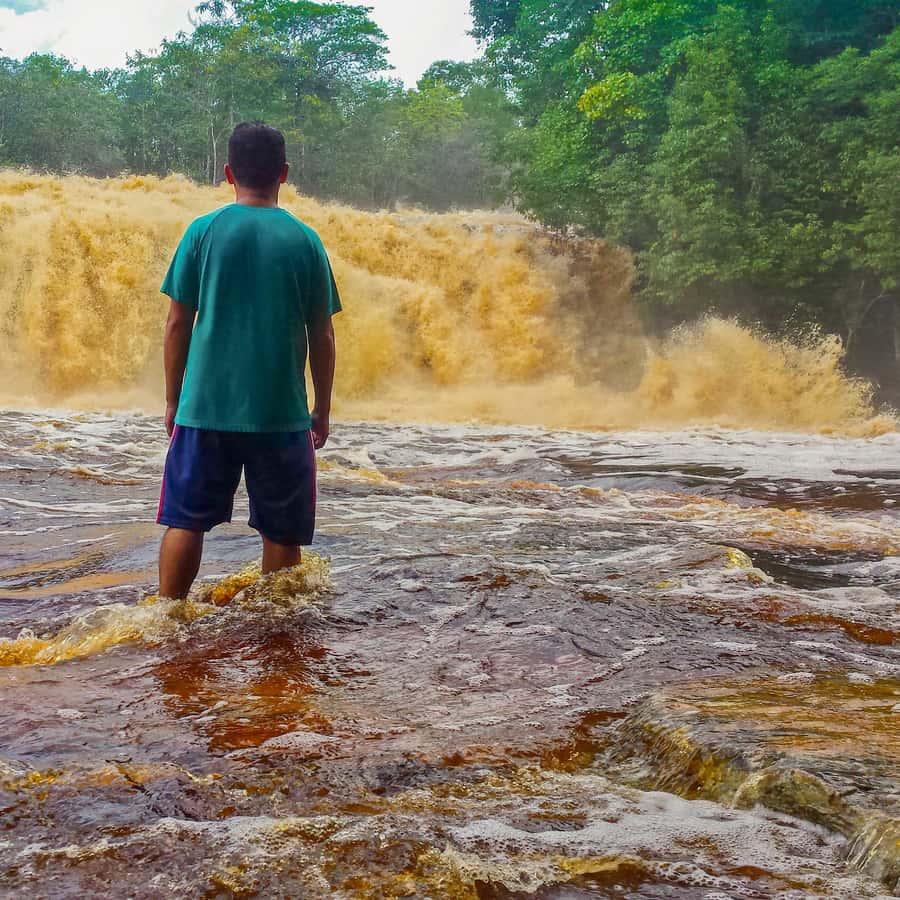 Galería de fotos para redes