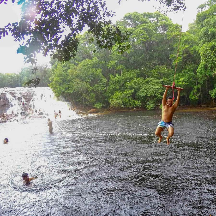 Galería de fotos para redes