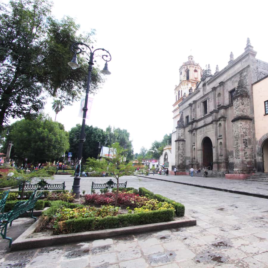 Viaje a Xochimilco y Coyoacán Colonial GetYourGuide