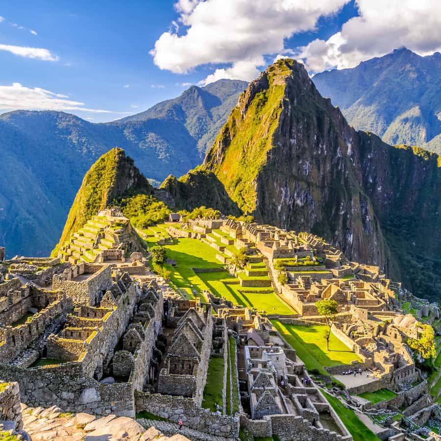 Galería de fotos para redes
