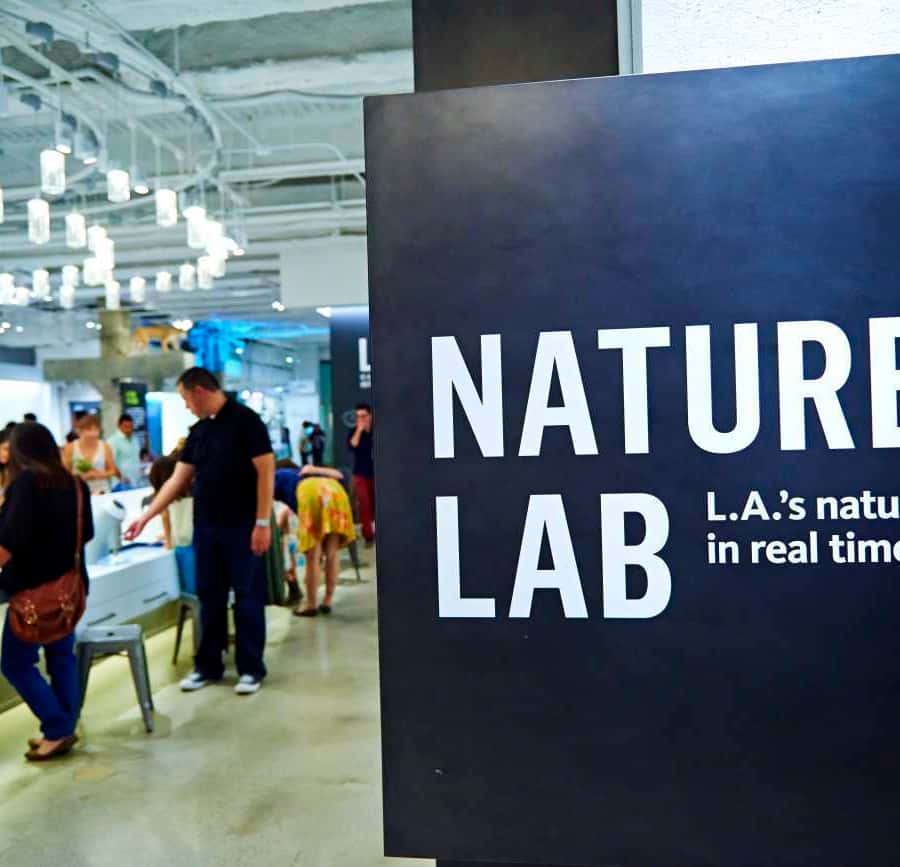 Los Angeles: Natural History Museum of LA Entry Ticket
