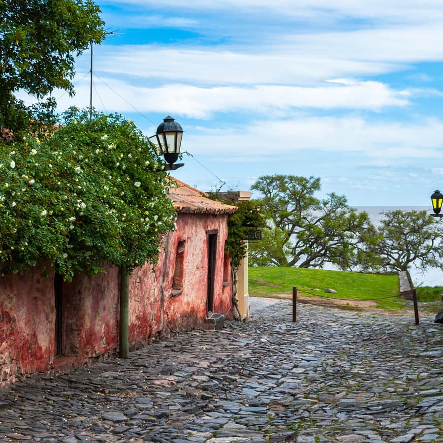 Galería de fotos para redes