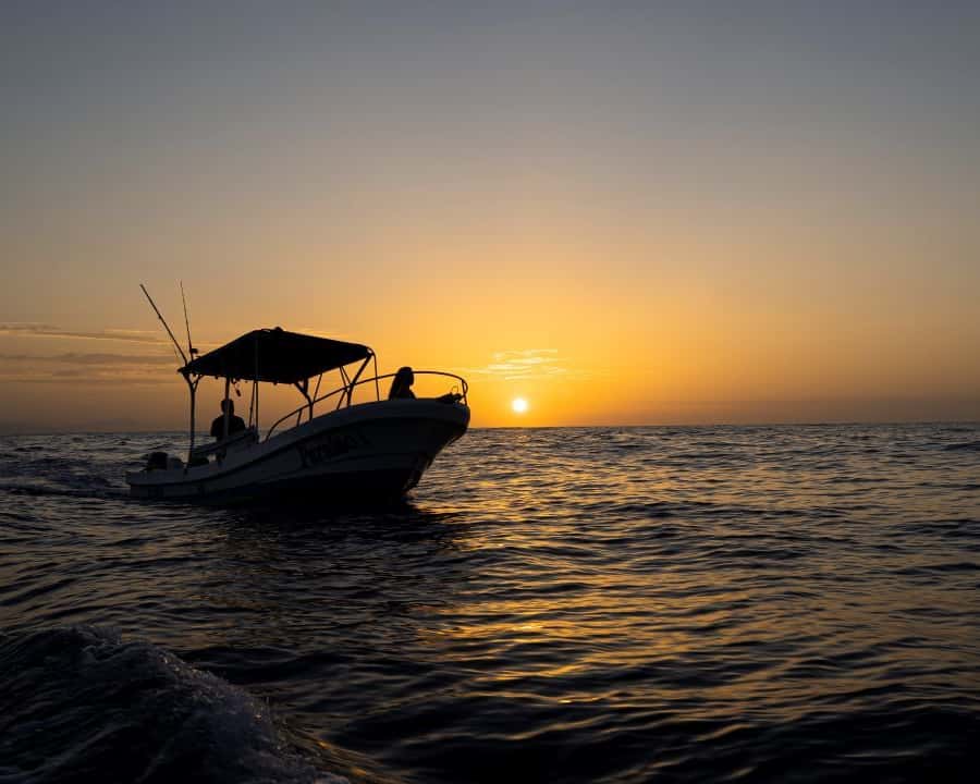 Galería de fotos para redes