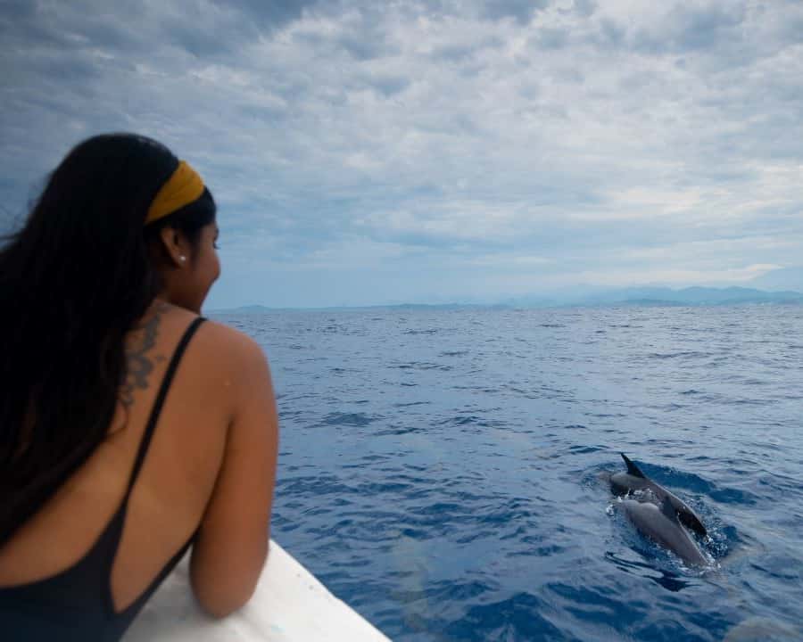 Galería de fotos para redes