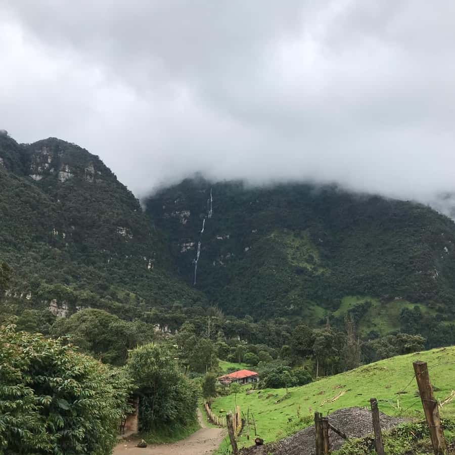 Colagem de mídia