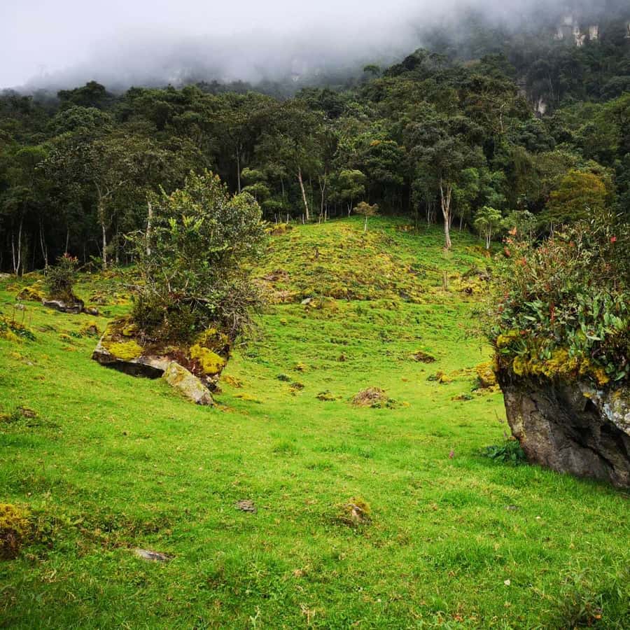 Colagem de mídia