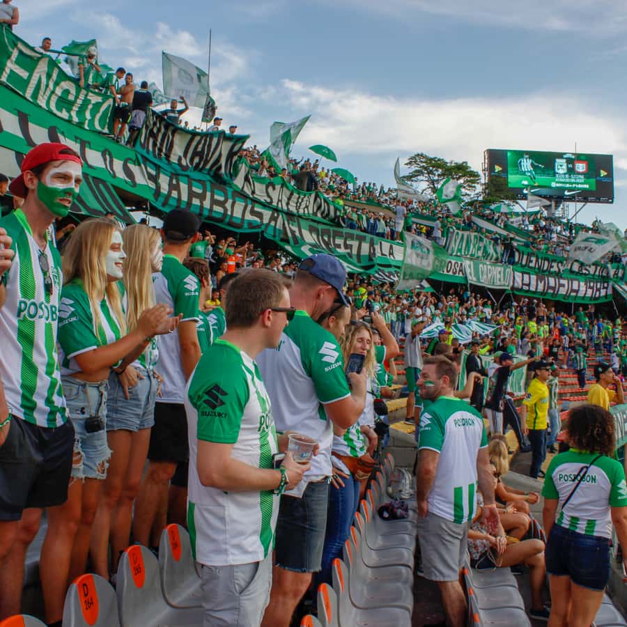 Galería de fotos para redes