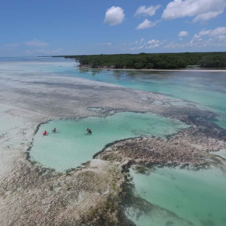 Galería de fotos para redes