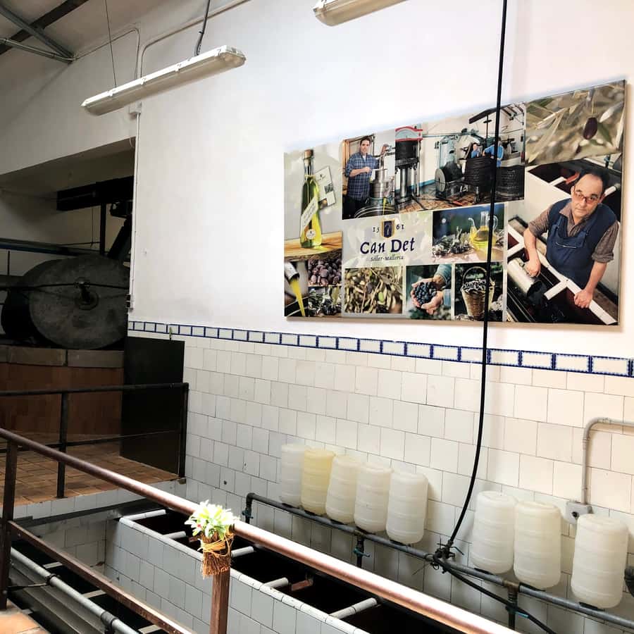 Galería de fotos para redes
