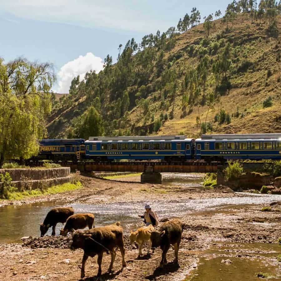 Galería de fotos para redes