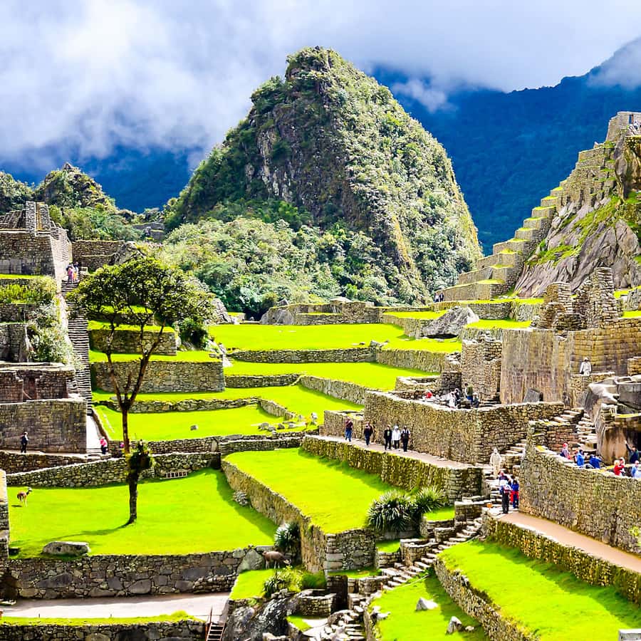 Galería de fotos para redes