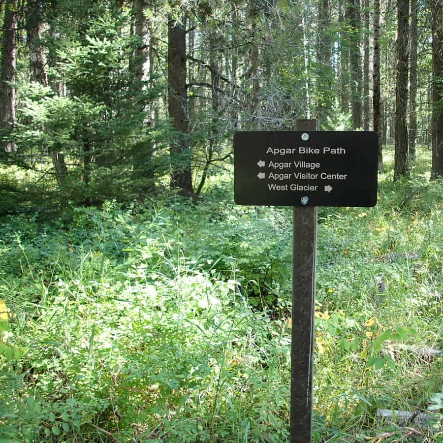 Glacier National Park: Morning Nature Walk GetYourGuide