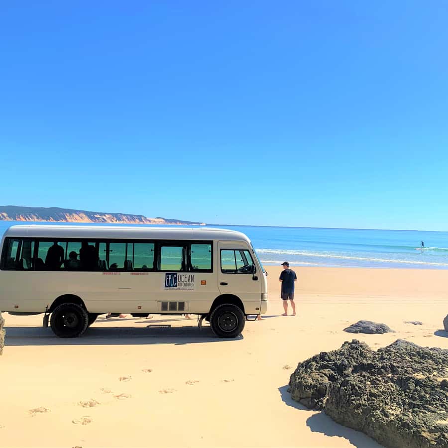 Noosa: Dolphin Sea Kayak & Beach 4X4 Tour (in National Park)