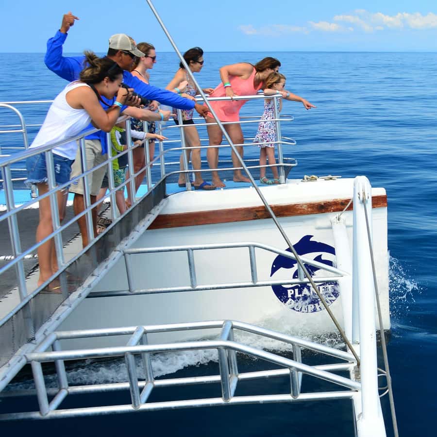 All-Inclusive Catamaran Eco Adventure with Lunch