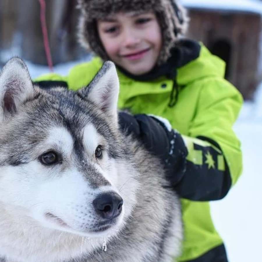 Медиаколлаж