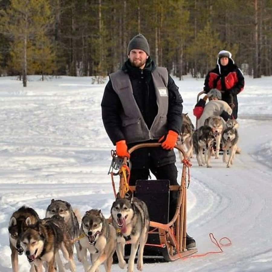 Медиаколлаж