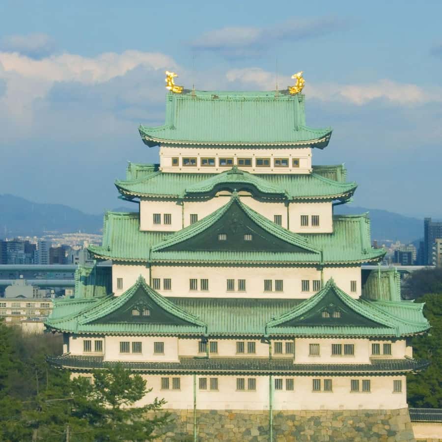 メディア コラージュ