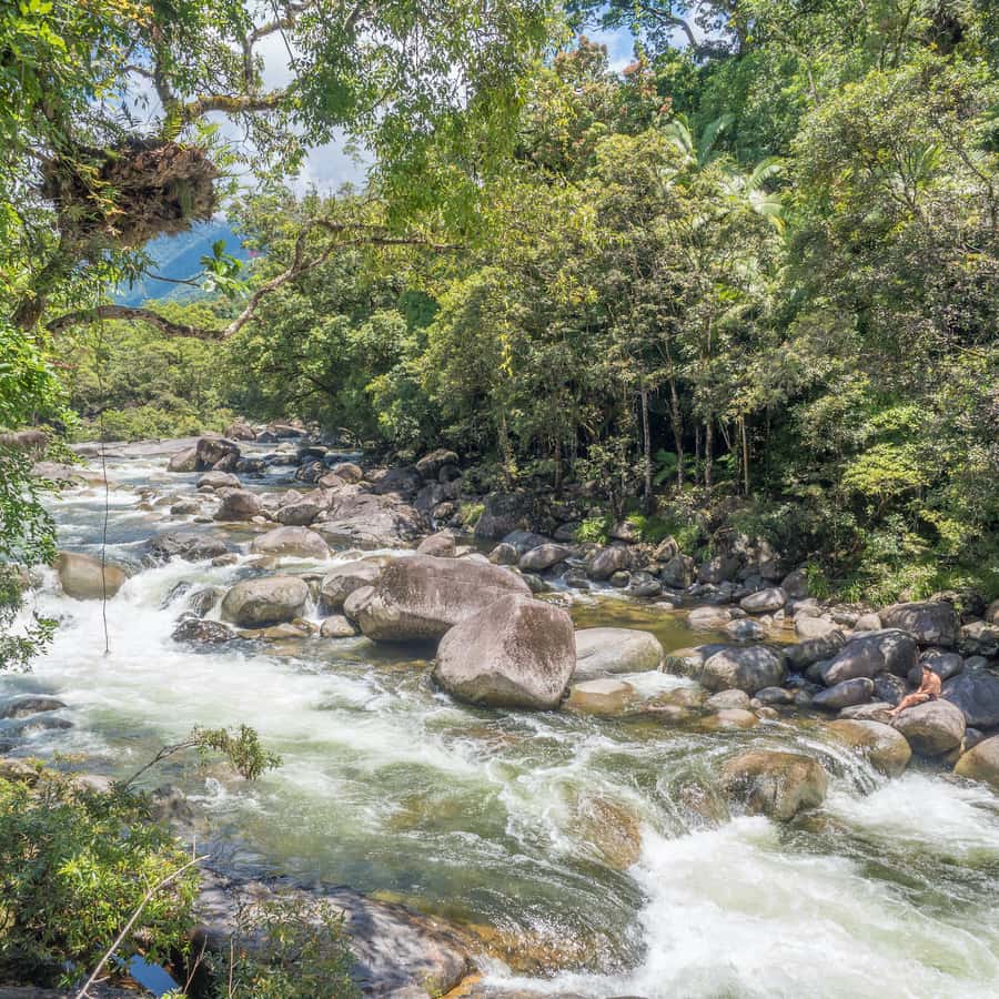 Mossman Gorge: Day Tour with River Drift Experience