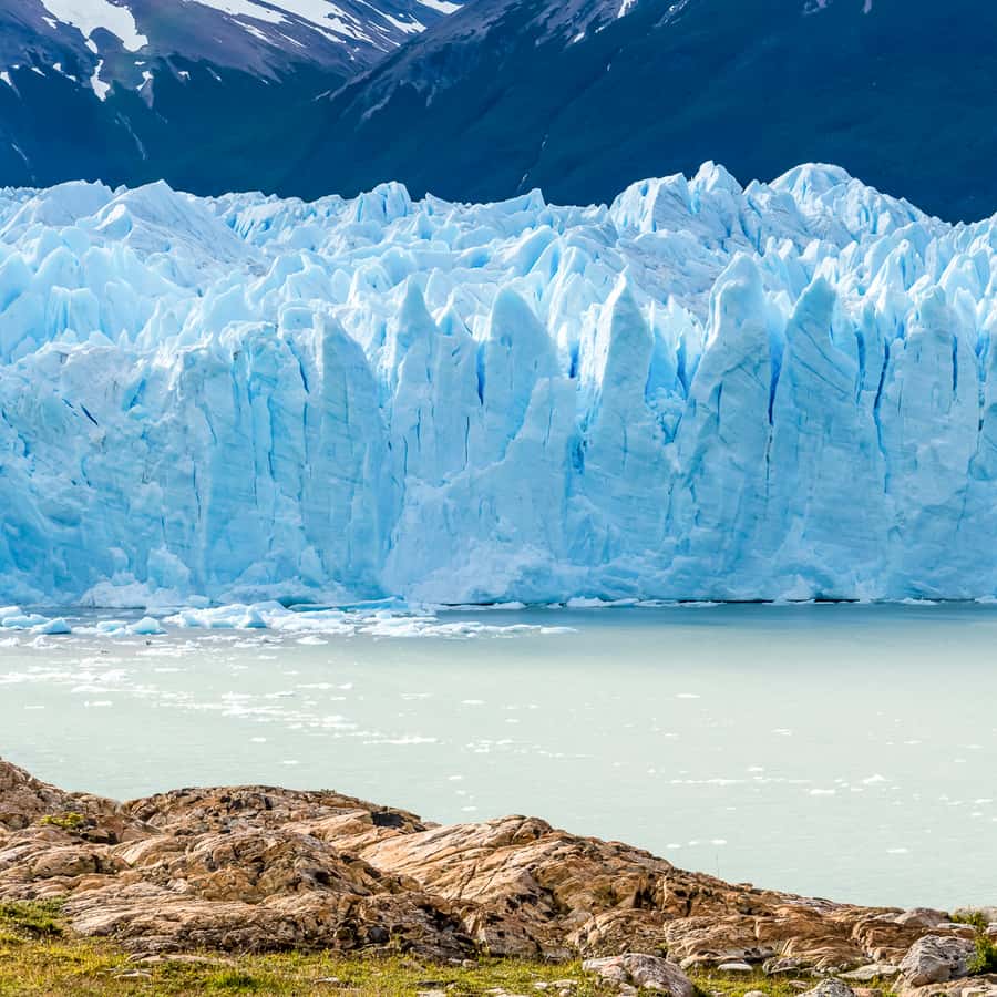 Galería de fotos para redes