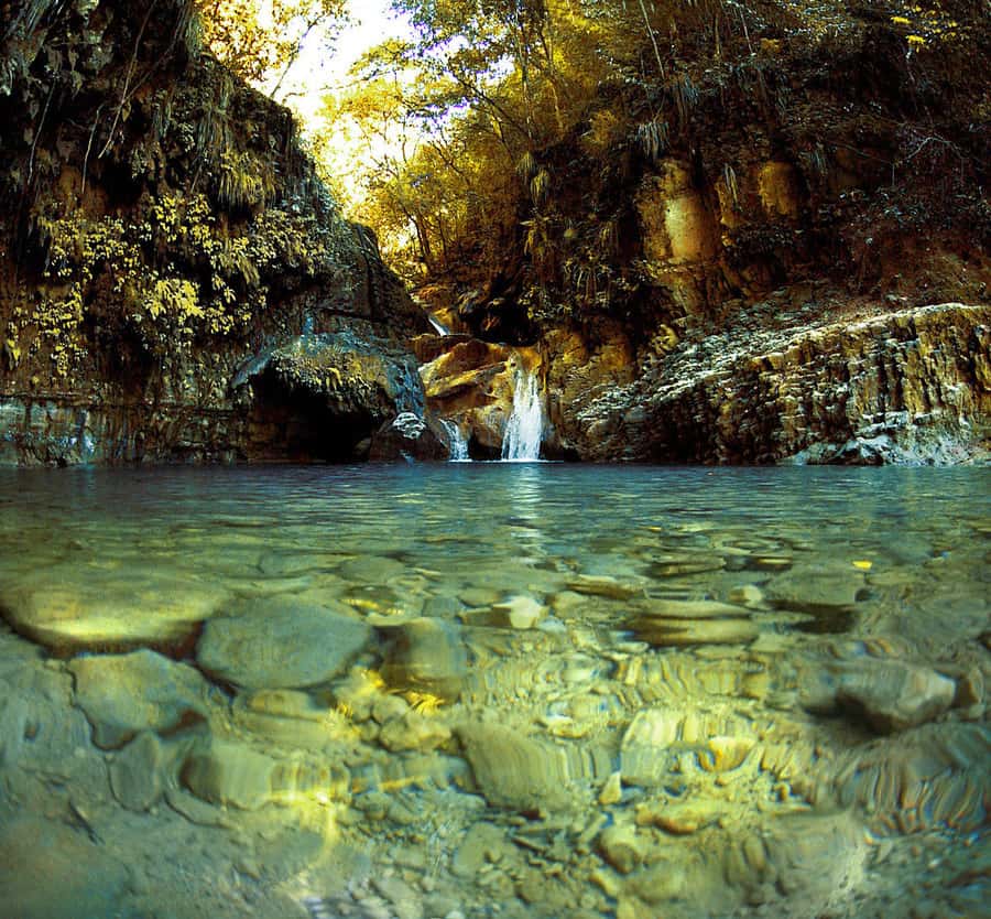 Puerto Plata: Damajagua Waterfalls Full-Day Adventure