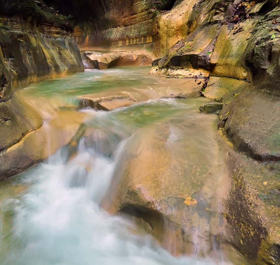 Puerto Plata: Damajagua Waterfalls Full-Day Adventure
