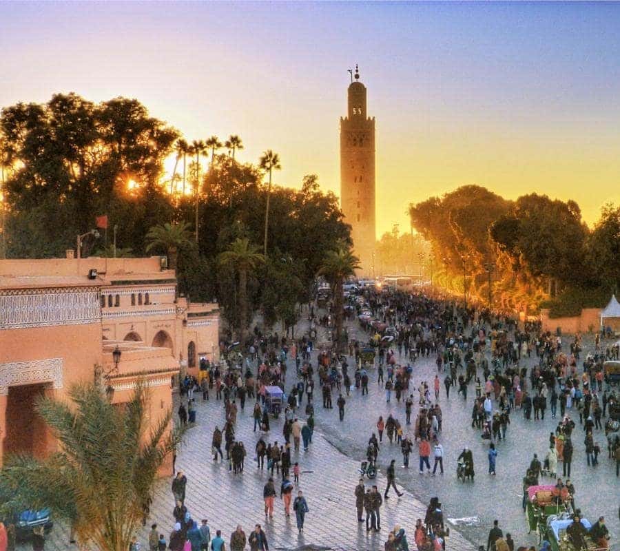 Galería de fotos para redes