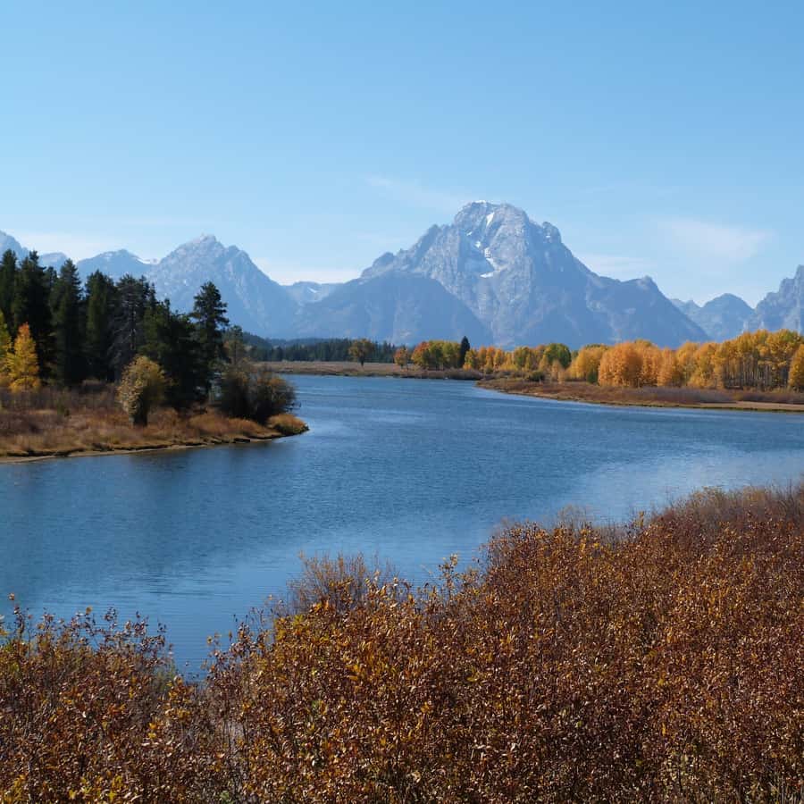 From Jackson: Half-Day Grand Teton National Park Tour