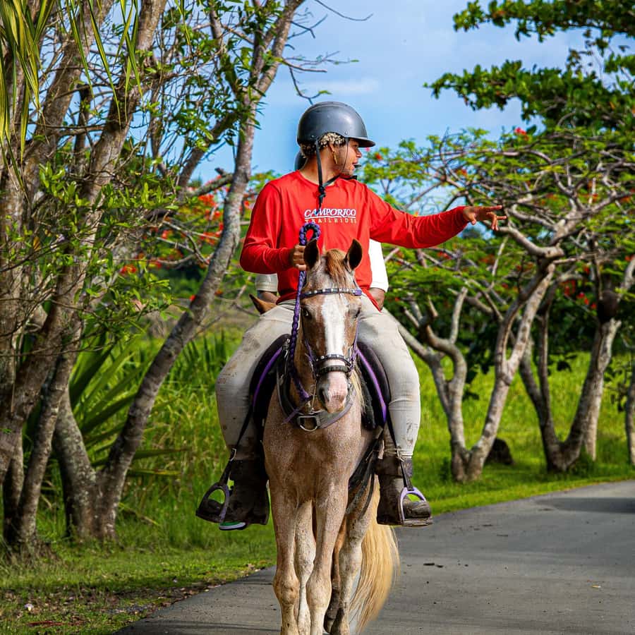 From Carolina: Horse Riding at a Private Ranch