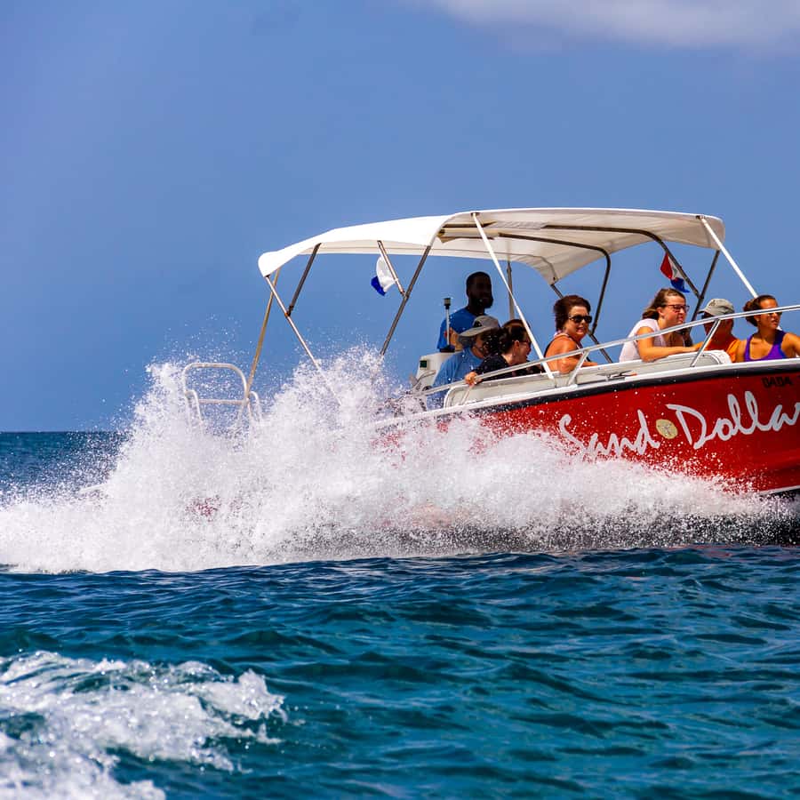 Sand Dollar Half Day Snorkel Cruise St. Martin