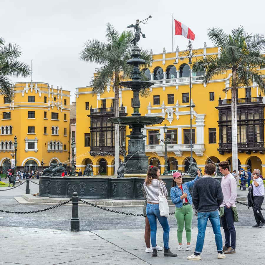 Galería de fotos para redes