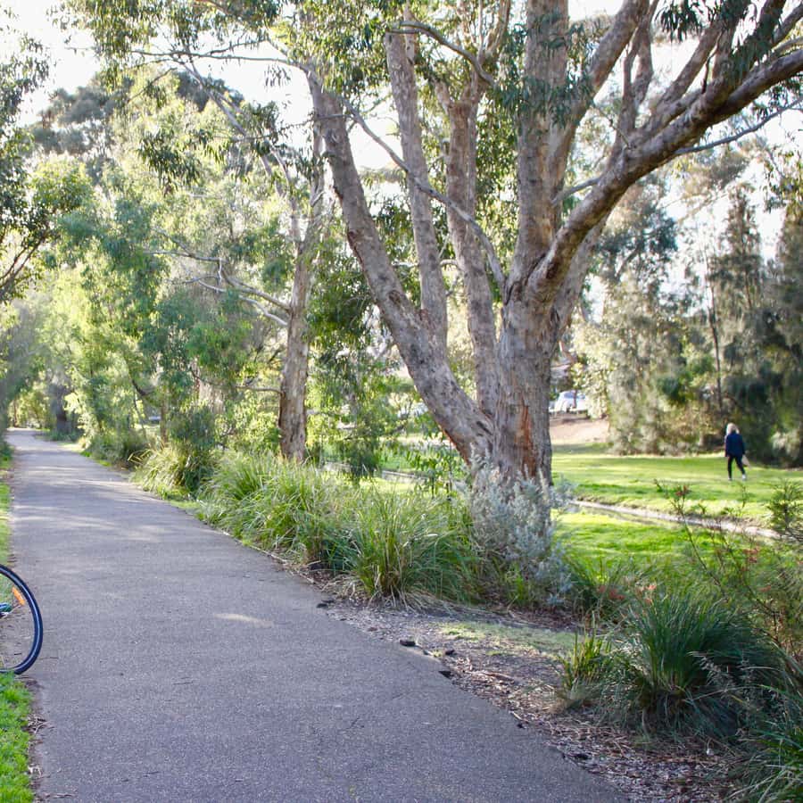 Melbourne: Bayside Bike Tour Pedal into Local Seaside Life